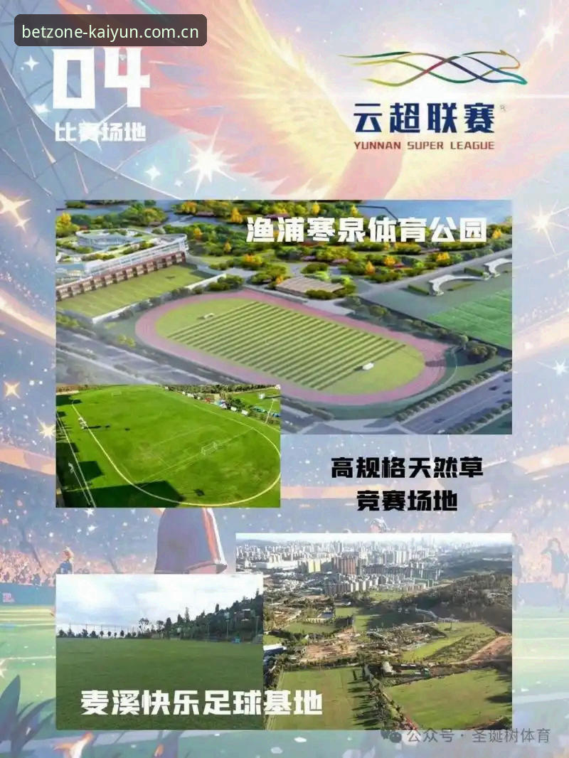 揭秘：开云体育赛事直播常见问题背后的高效解法，Kaiyun体育平台老用户才知道的细节